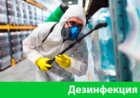 Дезинфекция в городе Электросталь