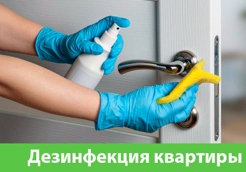 Дезинфекция квартиры в городе Электросталь
