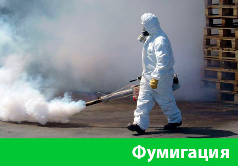 Фумигация в городе Электросталь