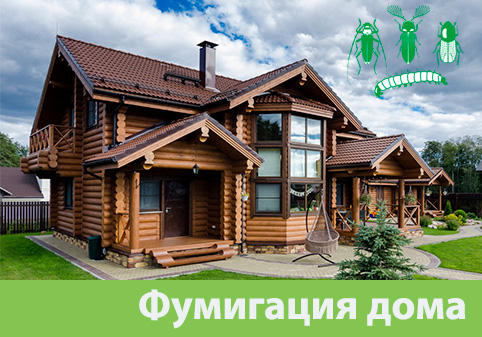 Преимущества обработки газом в городе Электросталь