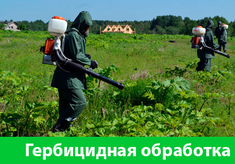 Гербицидная обработка в городе Электросталь