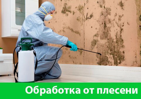 Обработка от плесени в городе Электросталь