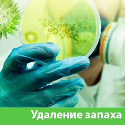 Удаление запахов в Электростали