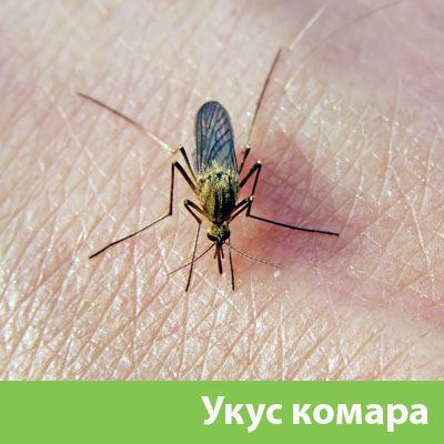 Укусы комаров в Электростали