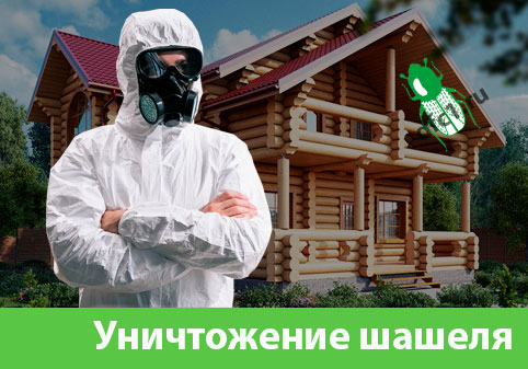 Уничтожение шашеля и личинок в Электростали