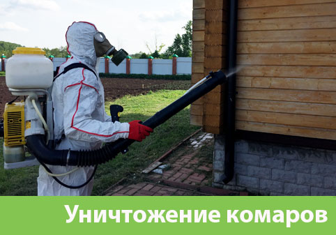 Уничтожение комаров в городе Электросталь